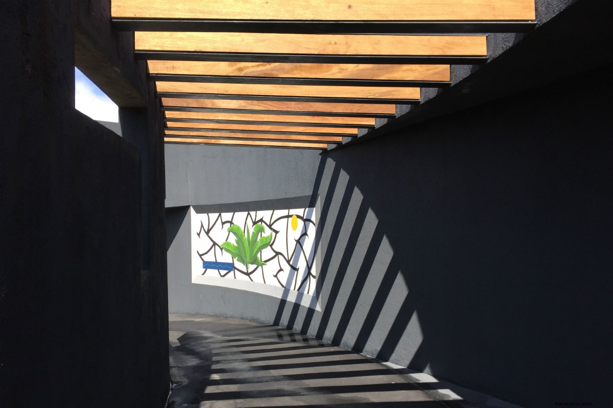 Rediscover Los Cabos, Mexico: Luxury Villas, Boutique Hotels & Culinary Gems