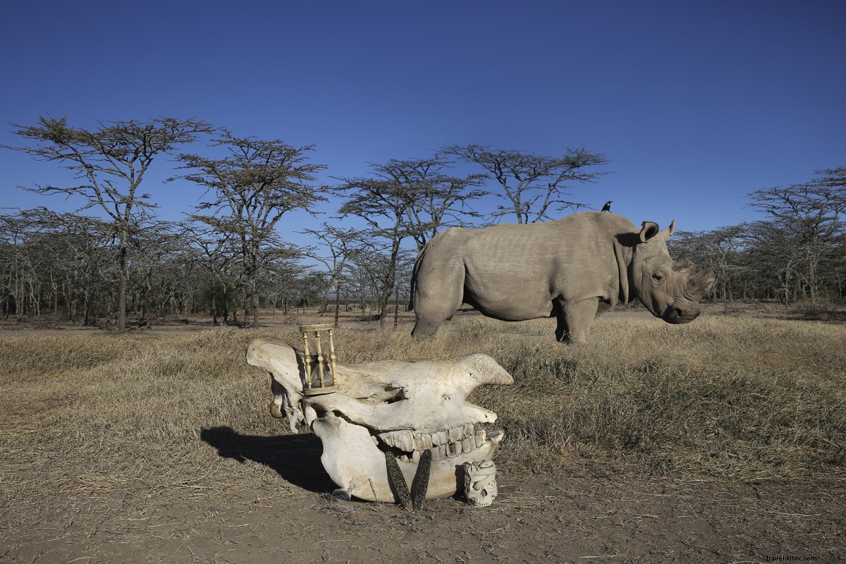 Still Life with Fragile World: Must-See Photo Exhibition on Global Environmental Impact in Naples