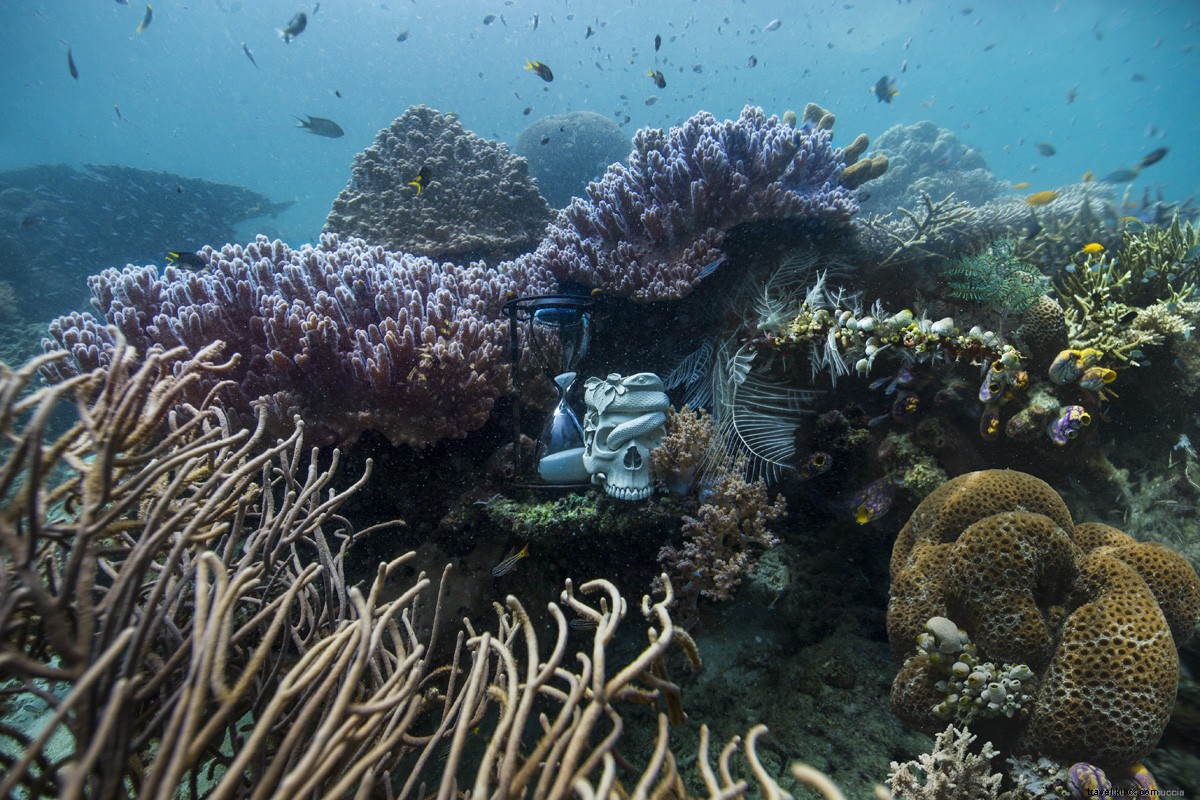 Still Life with Fragile World: Must-See Photo Exhibition on Global Environmental Impact in Naples