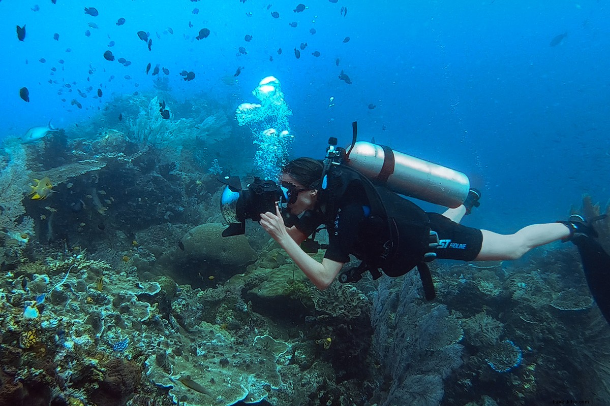 Still Life with Fragile World: Must-See Photo Exhibition on Global Environmental Impact in Naples