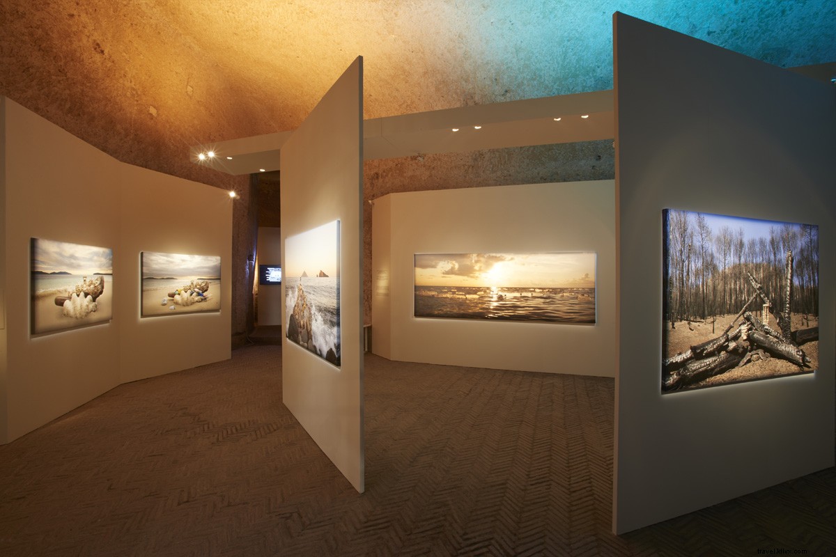 Still Life with Fragile World: Must-See Photo Exhibition on Global Environmental Impact in Naples