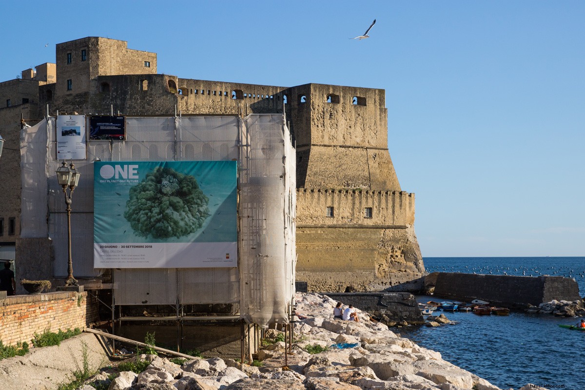 Still Life with Fragile World: Must-See Photo Exhibition on Global Environmental Impact in Naples