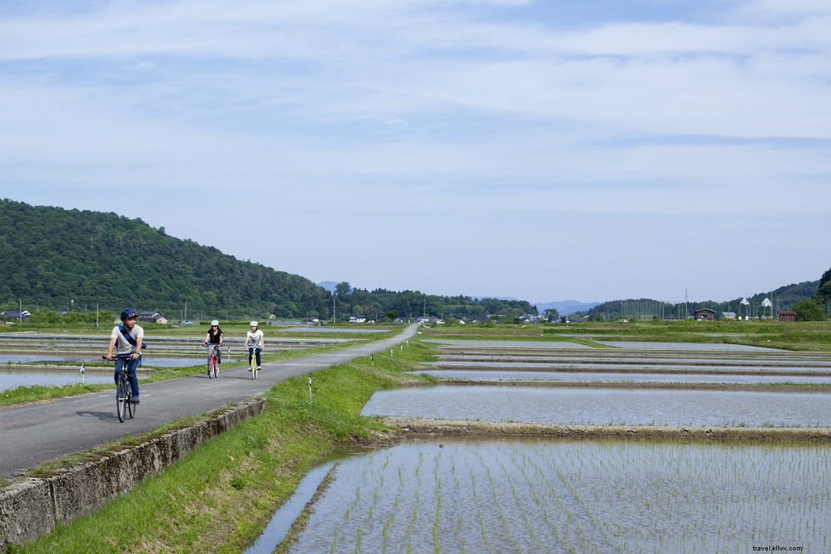 Discover Kinosaki: Japan s Most Serene Onsen Town Near Kyoto