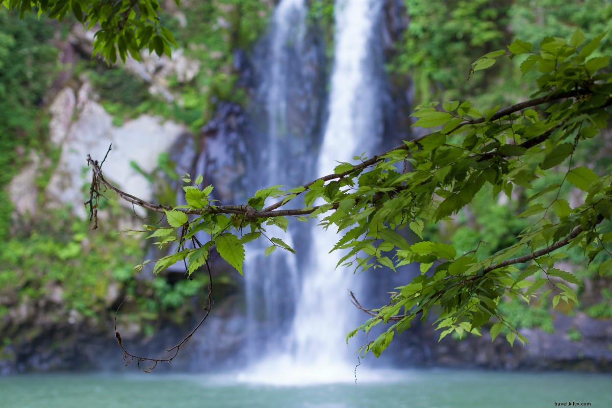 Discover Kinosaki: Japan s Most Serene Onsen Town Near Kyoto