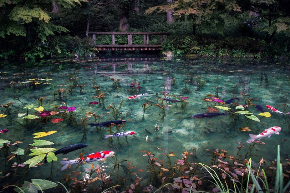 Curated Travel Links We Love: July 28, 2018 Edition