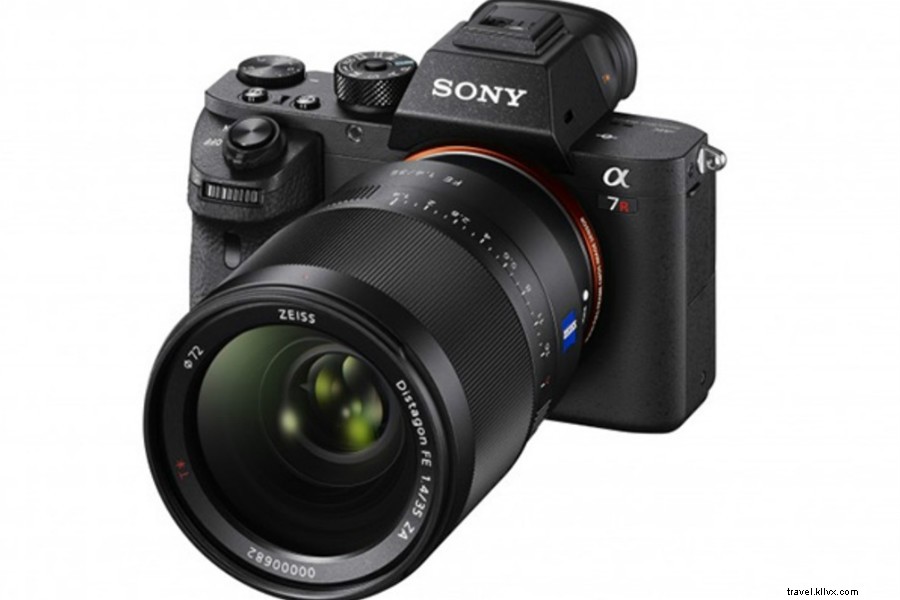 Globetrotting Stylist Sibella Court s Essential Treasure Hunting Kit