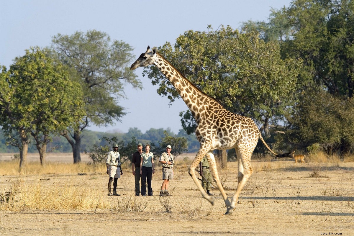 Discover 10 Unforgettable Off-Grid Retreats, Group Adventures & Epic Expeditions