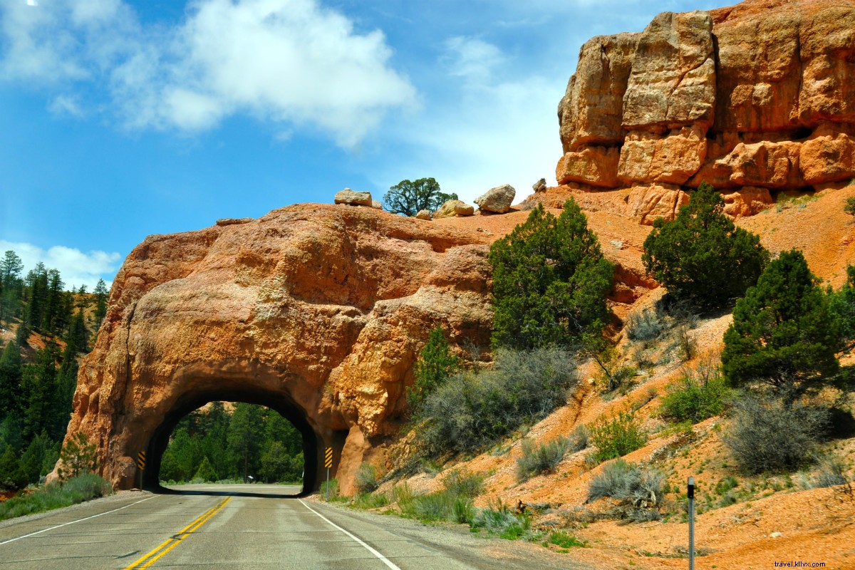 Discover America s Top 10 Best Scenic Roads for Epic Road Trips