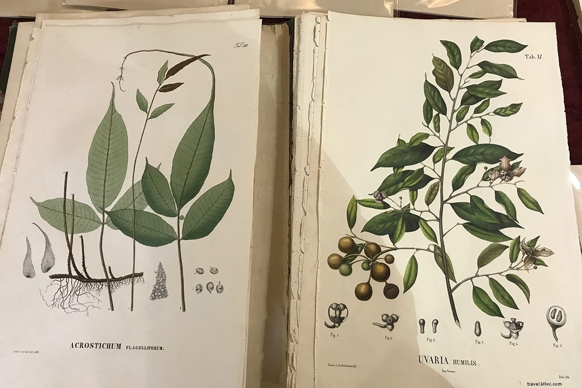 Ultimate Antiquing Road Trip: Discover Texas Hill Country s Vintage Treasures