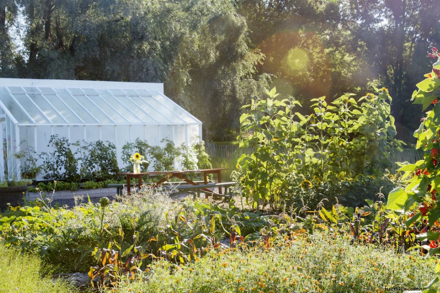 Discover Eden at Rosendals Trädgård: Stockholm s Stunning Garden Paradise