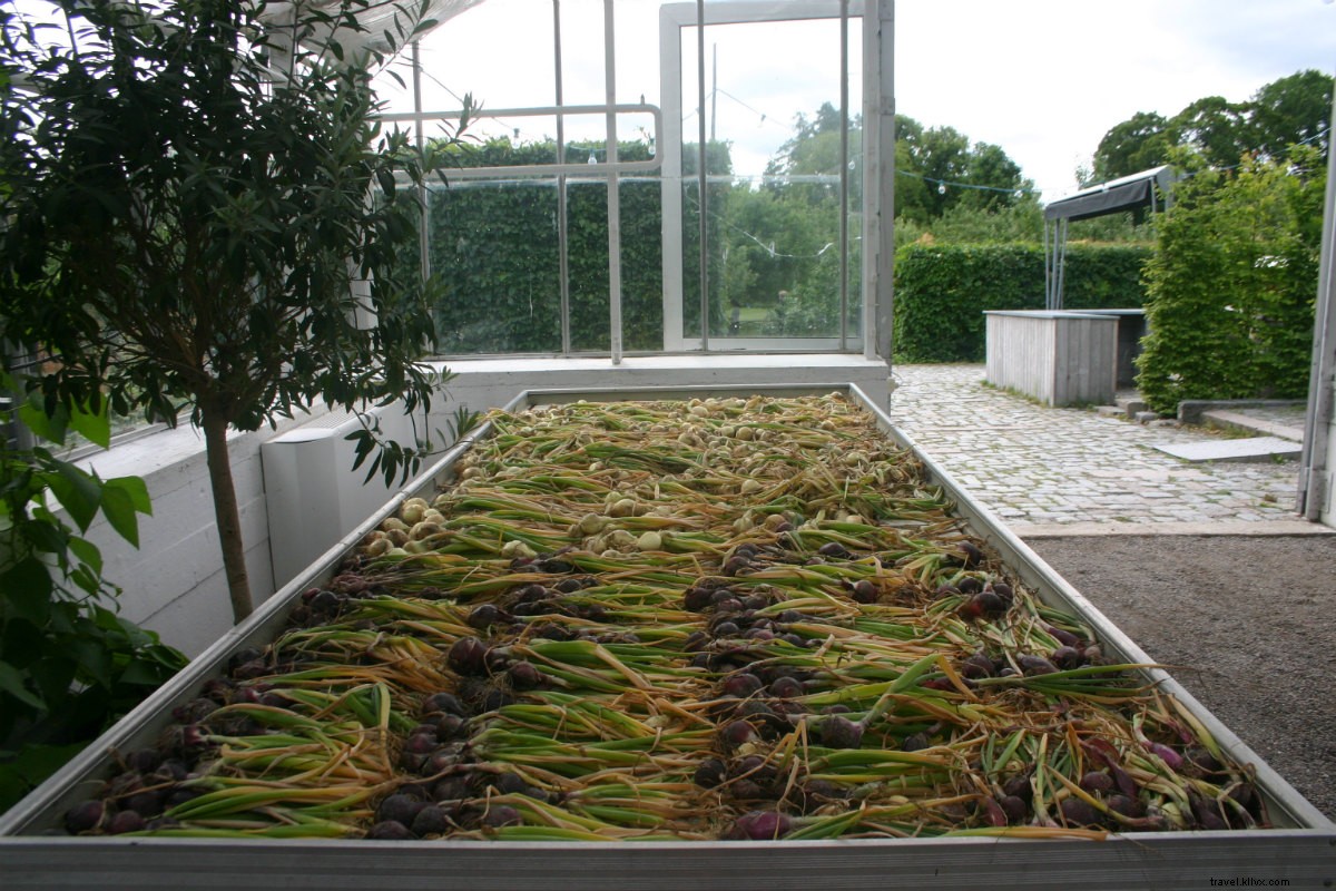 Discover Eden at Rosendals Trädgård: Stockholm s Stunning Garden Paradise