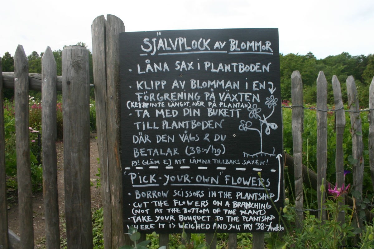 Discover Eden at Rosendals Trädgård: Stockholm s Stunning Garden Paradise