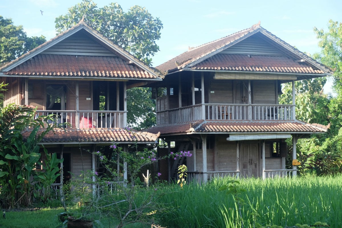 Discover True Bliss in Bali: Eat, Sleep, Cry at the Silent Retreat