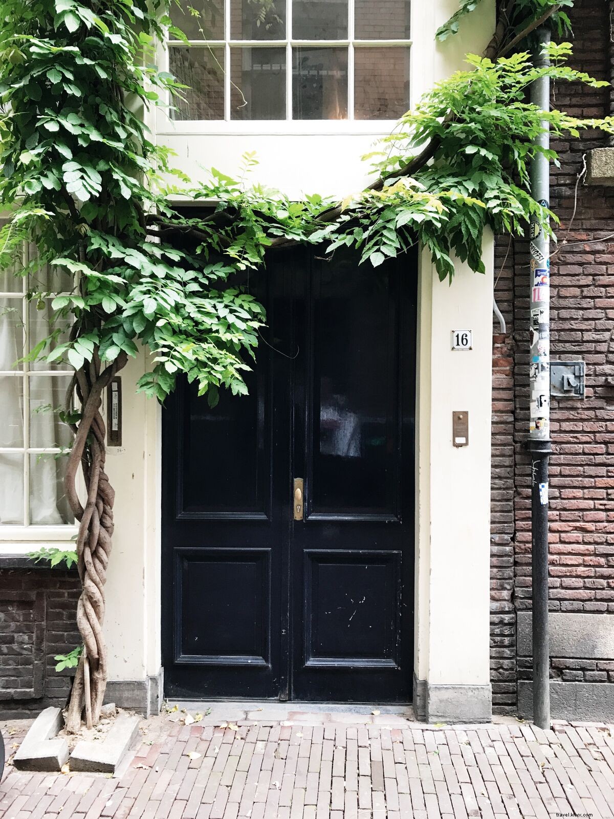 Discover Amsterdam s Ultimate Design Shops: A Curated Guide to Unique Finds