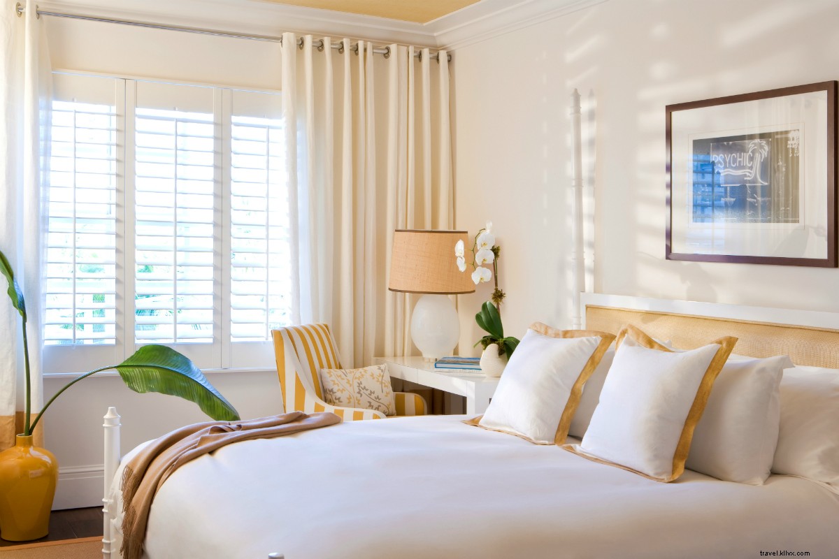 The Betsy South Beach: Artistic Beachfront Luxury in Vibrant Miami