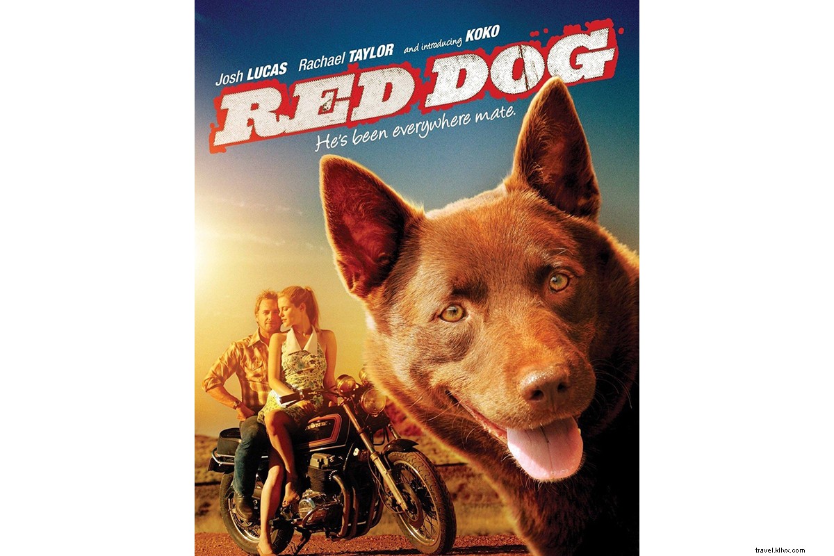 Top Must-Buy Souvenirs in Australia: Authentic Treasures and Unique Finds