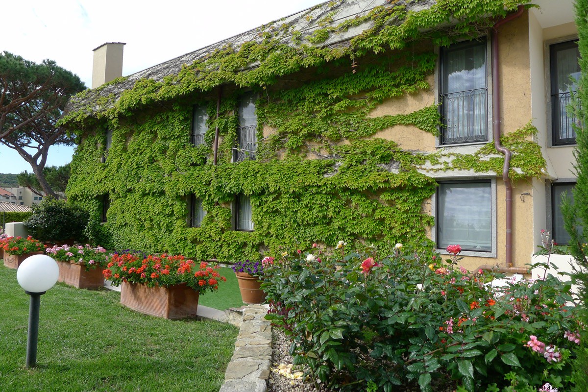 Discover Punta Ala: Tuscany s Under-the-Radar Beach Haven in Maremma