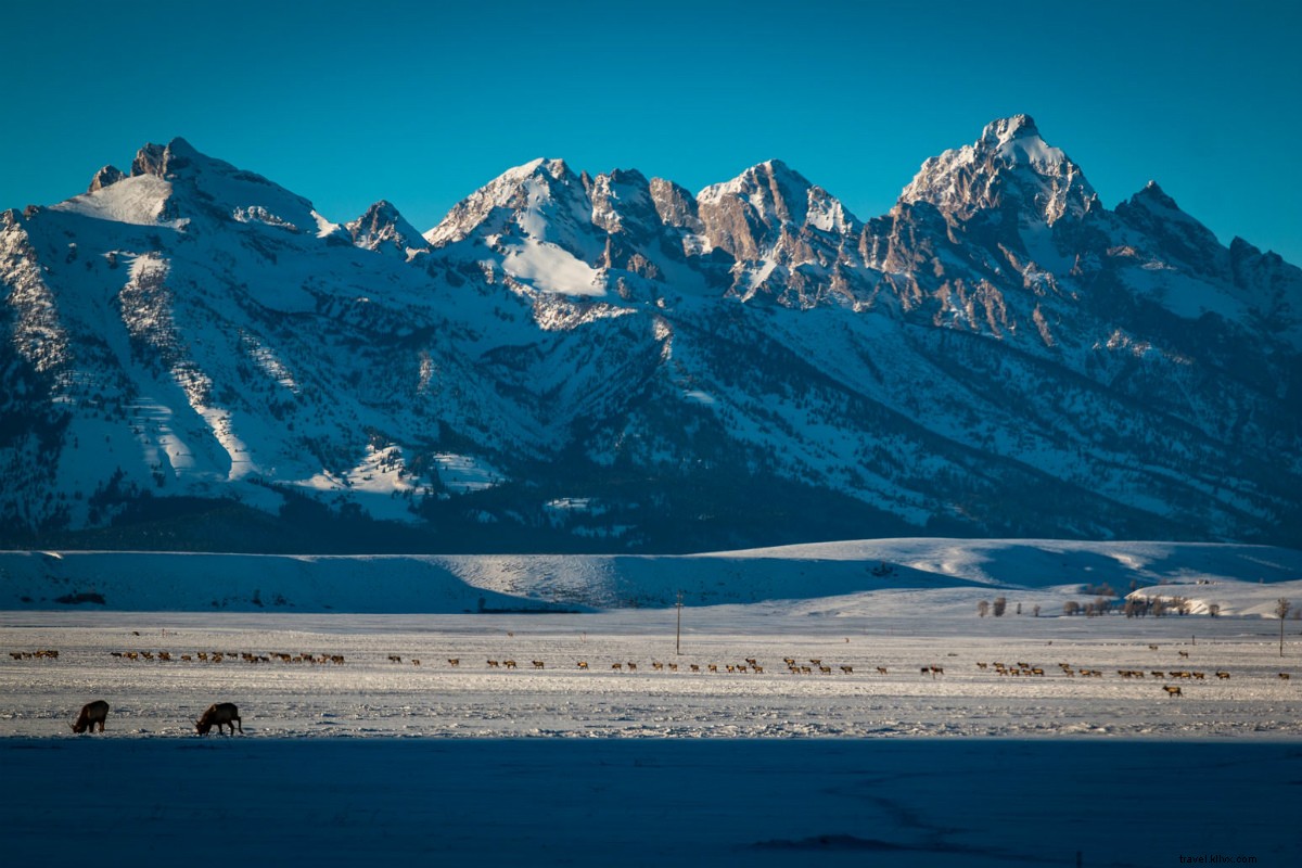 Luxury Ski Escape: Private Jets from Jackson Hole to Vail with Four Seasons & NetJets