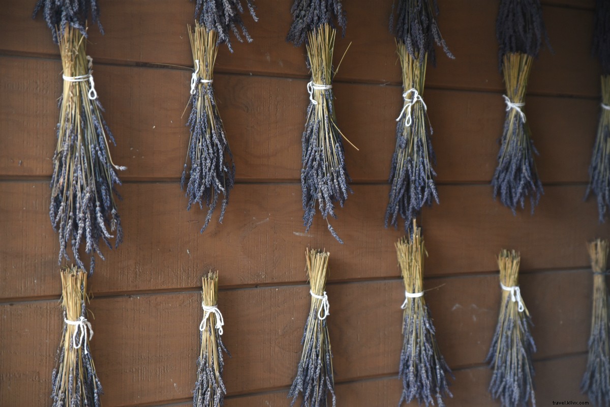 Sublime Forage-Focused Fine Dining at Willows Inn: Blaine Wetzel s Lummi Island Gem