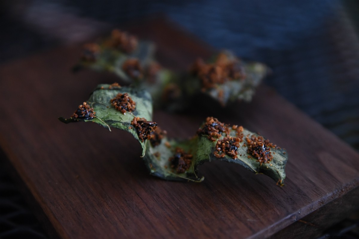Sublime Forage-Focused Fine Dining at Willows Inn: Blaine Wetzel s Lummi Island Gem