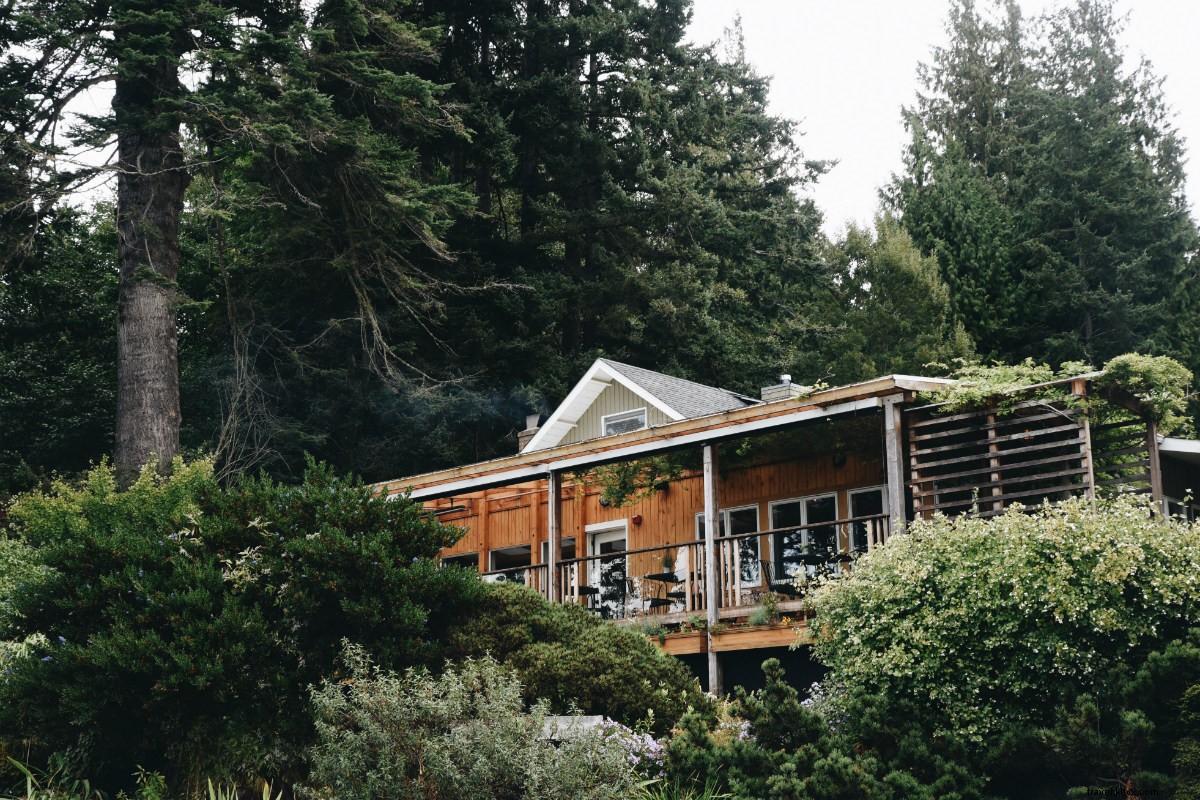 Sublime Forage-Focused Fine Dining at Willows Inn: Blaine Wetzel s Lummi Island Gem