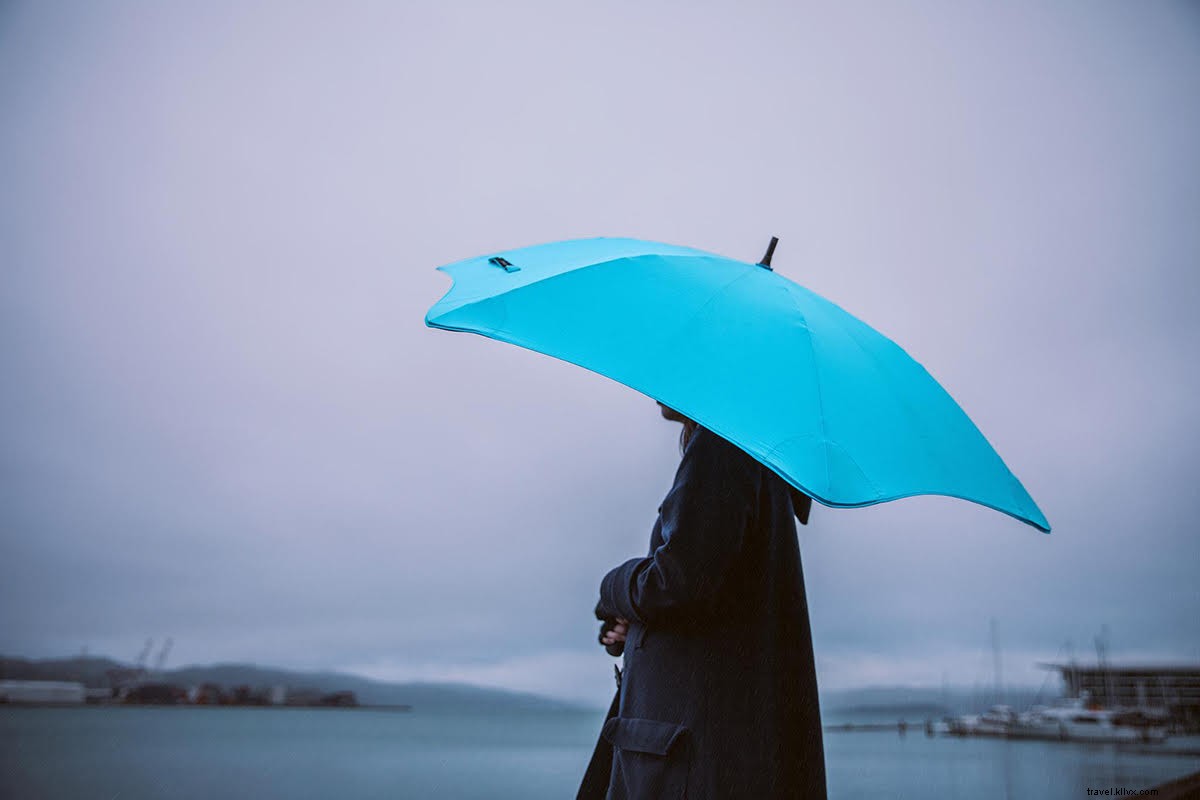 Fathom Editors  Top Travel Picks Right Now: Volume 14