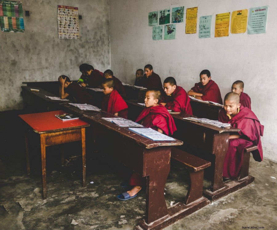 India Unveiled: A Photographer s Immersive Journey Through Color and Culture