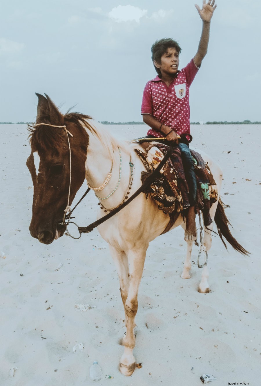 India Unveiled: A Photographer s Immersive Journey Through Color and Culture