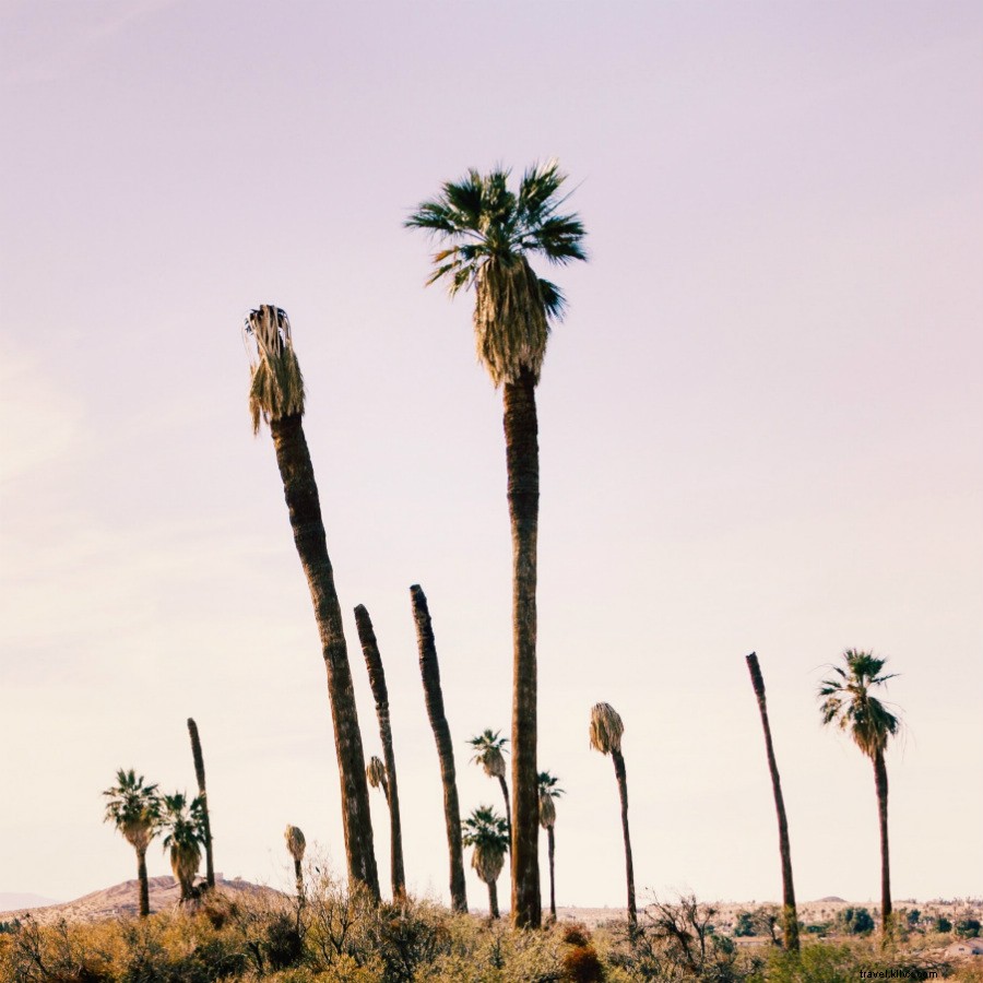 Serene Travel Photos: Cool and Calm Escapes from Beijing to Beirut