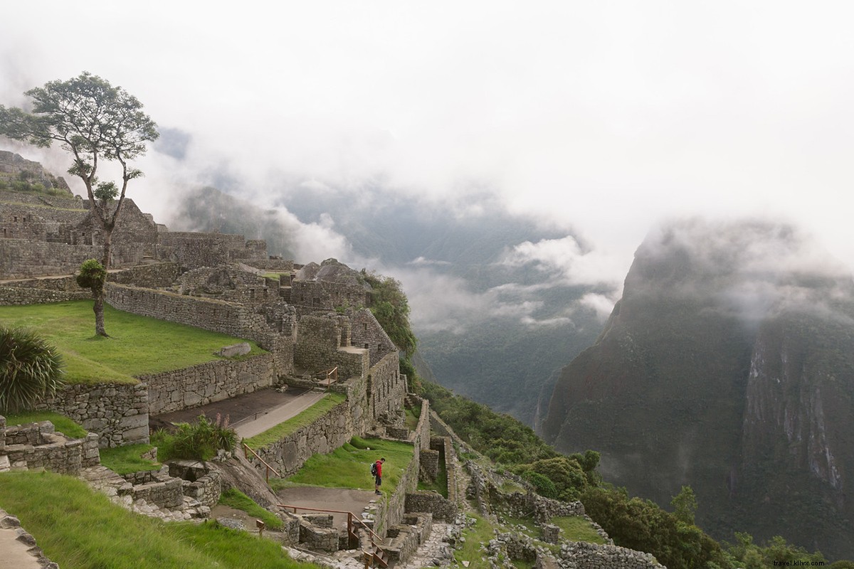 Curated Favorites: Things We re Loving - Volume 13