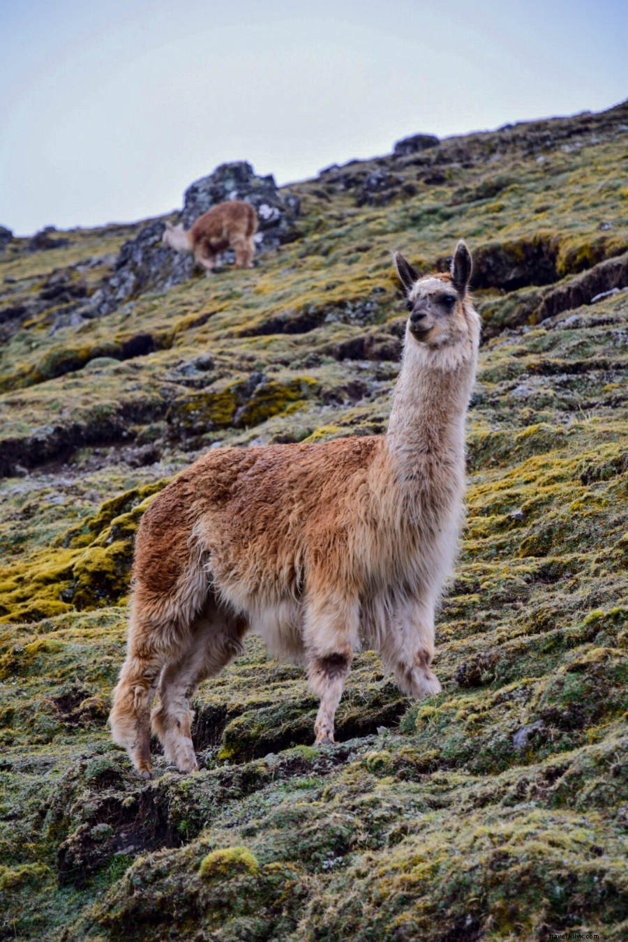 Discover Peru s Most Instagrammable Spots: A Photographer s Stunning Visual Tour