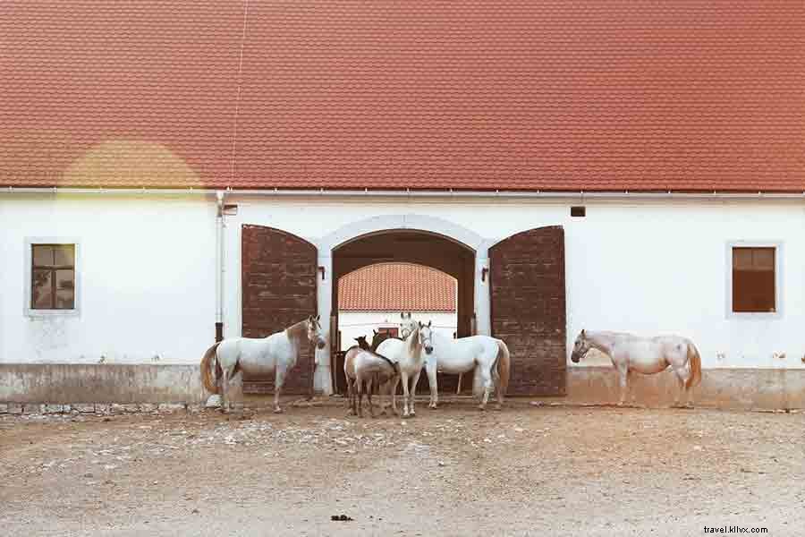 Discover Slovenia: Europe s Stunning Hidden Gem Awaits