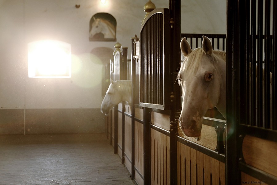 Discover Slovenia: Europe s Stunning Hidden Gem Awaits