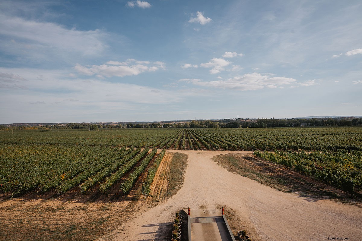 Handpicked Links We Love: October 21, 2017 Edition