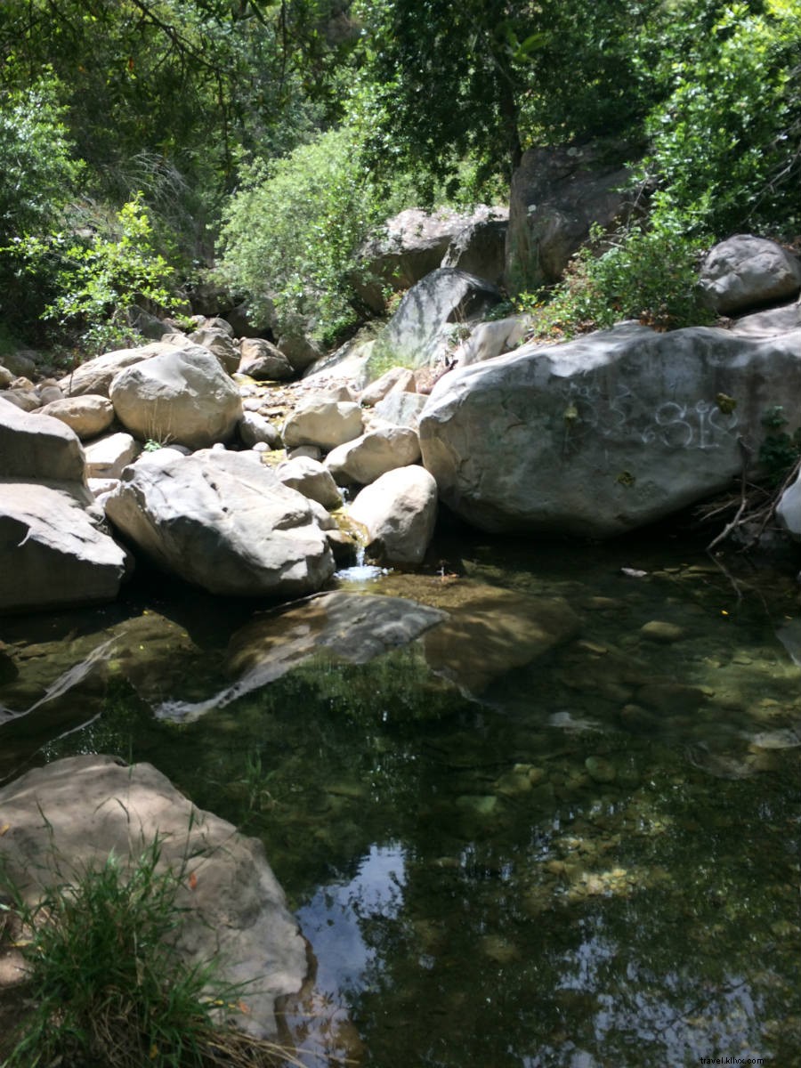 Affordable Romantic Dates in Santa Barbara: Beach Adventures & Local Gems