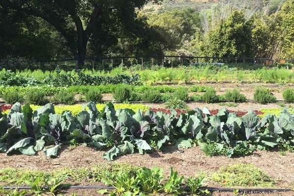 From Spa Skeptic to Devotee: A Transformative Three-Day Journey at The Golden Door