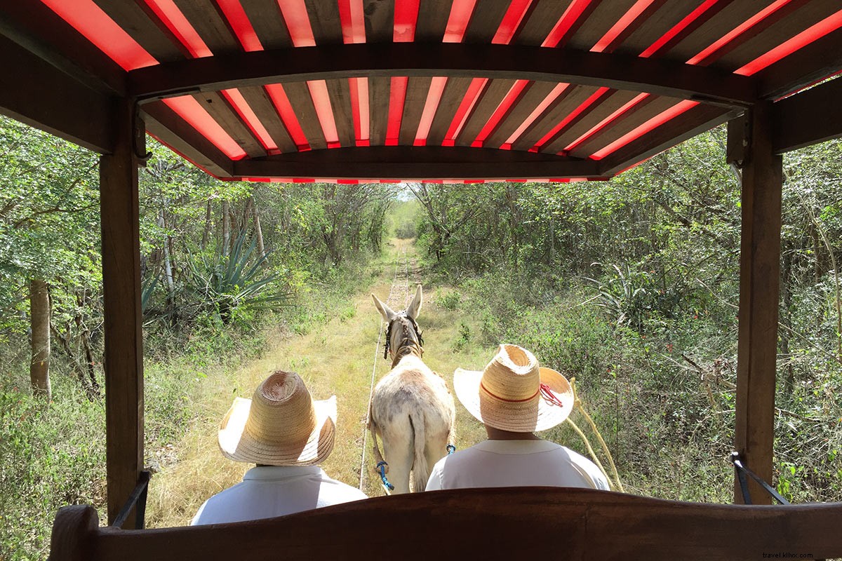 Ultimate Yucatan Peninsula Guide: Relax in Tulum, Mérida & Valladolid