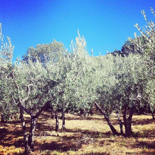 Stunning Million-Euro Views for Free in Spoleto, Italy