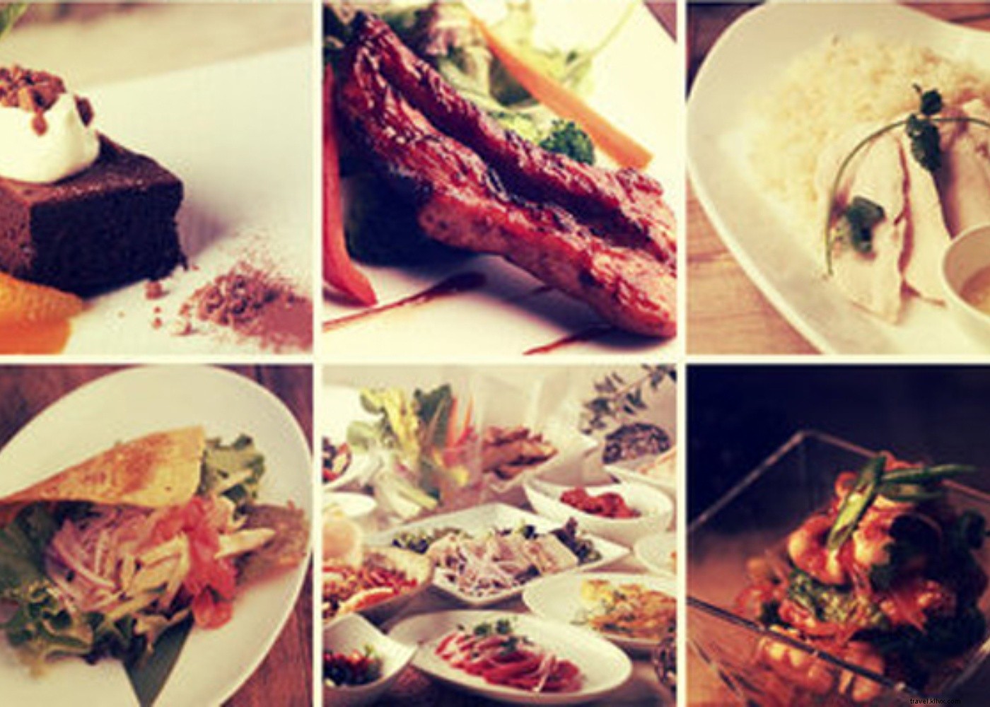 Discover the World in Tokyo: Global Food, Fashion & Adventures Await