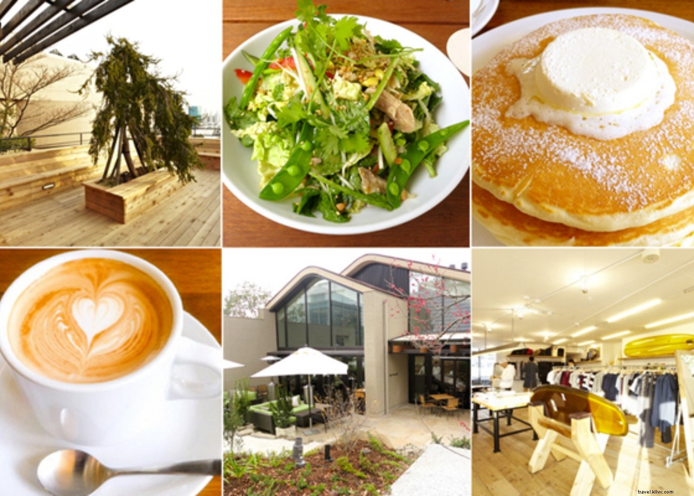 Discover the World in Tokyo: Global Food, Fashion & Adventures Await