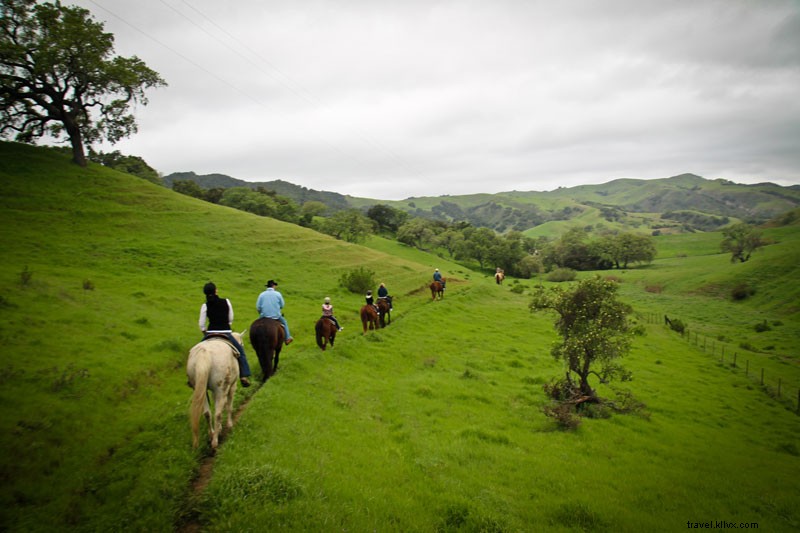 Savor the Flavors of Cowboy Country: A Meat Lover s Adventure