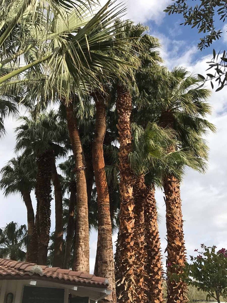 Discover 4 Innovative Spa Therapies: Weightlessness, Libra Tables, Stress Assessments & Ionizers