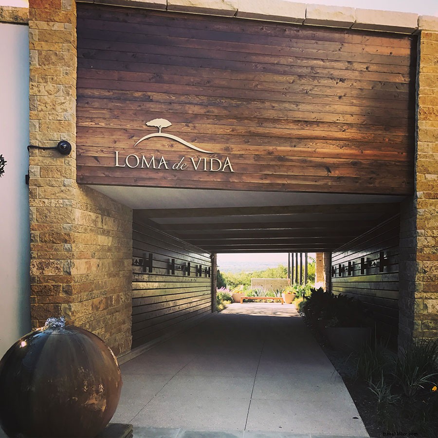 Discover 4 Innovative Spa Therapies: Weightlessness, Libra Tables, Stress Assessments & Ionizers