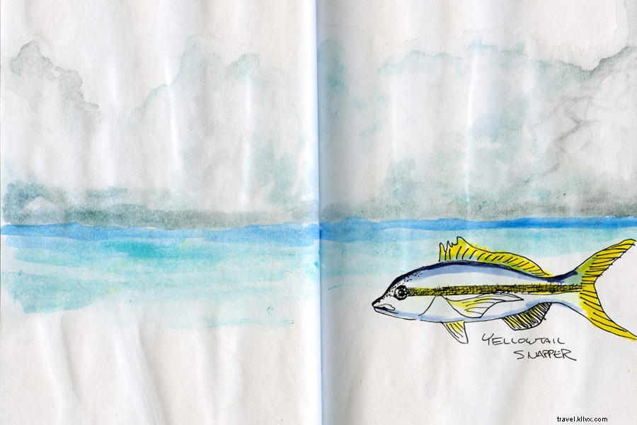 Erik Gauger s Stunning Illustrations of the Bahamas Dry Forest