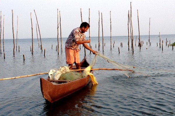 Just Back from Kerala: A First-Timer s Essential Travel Debrief