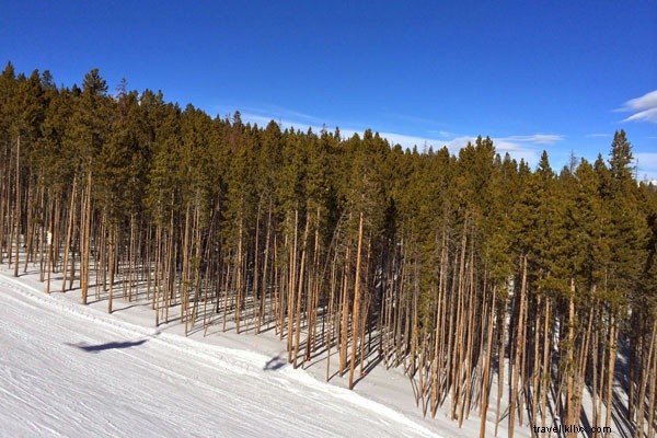 Ultimate Guide to Skiing Breckenridge: Conquer Colorado s Epic Powder Snow