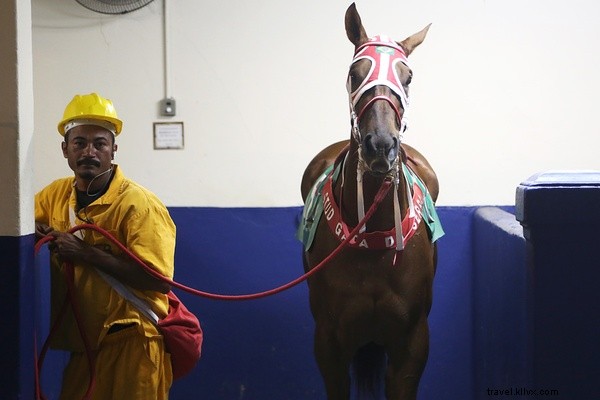 Epic Rio de Janeiro: Free-Climbing Peaks and Favelas Adventures | Stunning Video