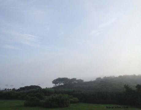 Montauk Master Plan: Ultimate Guide to Long Island s Eastern Beaches & Seafood