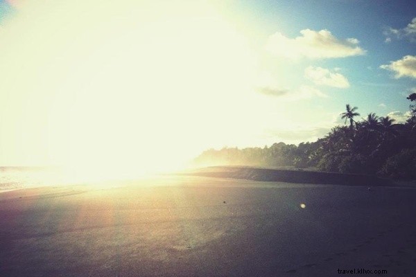 Boa Constrictors, Howler Monkeys, and Serene Solitude: Hiking Costa Rica s Osa Peninsula