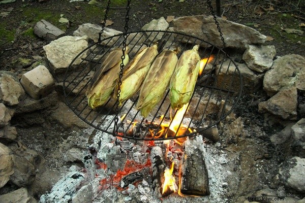 Camping Essentials You Always Forget: Must-Have Gear for Every Trip